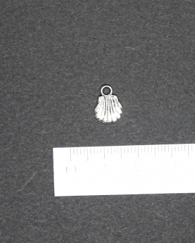 Kleine Muschel