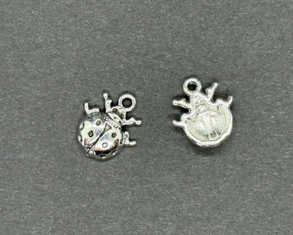 Vorder- und Rückseite